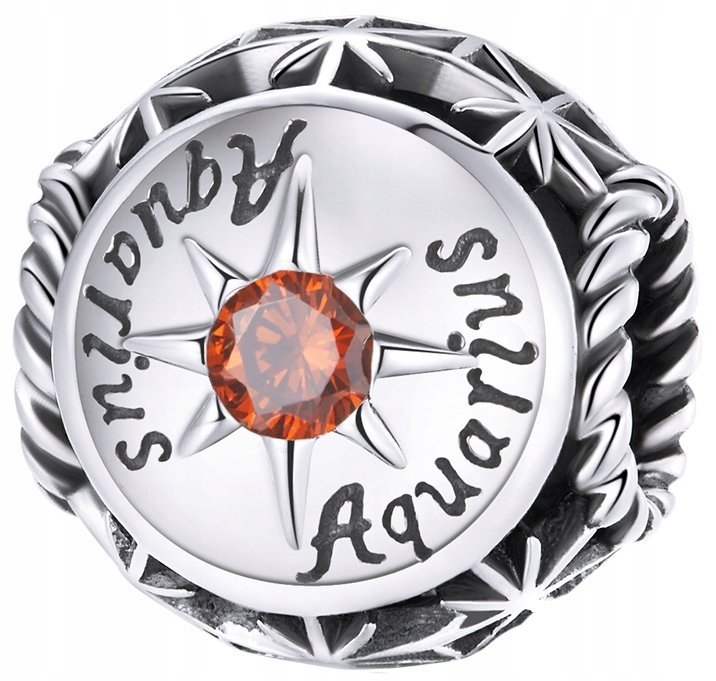 Charms Zawieszka Charms Znak Zodiaku Wodnik Kamień Urodzinowy Charms Trusky