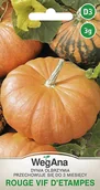 Nasiona i cebule - Dynia olbrzymia Rouge vif d'Etampes 3g nasiona - WegAna - miniaturka - grafika 1