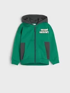 Swetry dla chłopców - Sinsay - Bluza - zielony - miniaturka - grafika 1