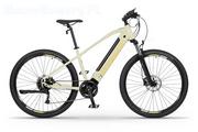 Rowery elektryczne - Ecobike SX 300 29 cali Piaskowy 2023 - miniaturka - grafika 1