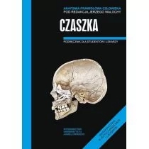 Wydawnictwo Uniwersytetu Jagiellońskiego Jerzy Walocha Anatomia prawidłowa człowieka. Czaszka. Podręcznik dla studentów i lekarzy - Podręczniki dla szkół wyższych - miniaturka - grafika 1