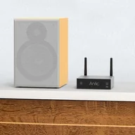 Amplitunery - Arylic A50+ Wireless Stereo Amplifier - miniaturka - grafika 1