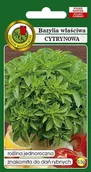 Nasiona i cebule - Bazylia Właściwa Cytrynowa 0.5 g PNOS - miniaturka - grafika 1