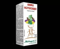 Suplementy naturalne - HERBAPOL KRAKÓW Krople oczyszczające 35ml HERBAPOL KRAKÓW 21HEWKROOC - miniaturka - grafika 1