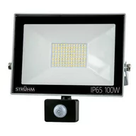 Lampy pozostałe - IDEUS Naświetlacz LED z czujnikiem ruchu KROMA LED S 100W GREY 6500K IP65  7086 03708 - miniaturka - grafika 1