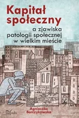 E-booki - podręczniki - Agnieszka Barczykowska Kapitał społeczny a zjawiska patologii społecznej w wielkim mieście - miniaturka - grafika 1