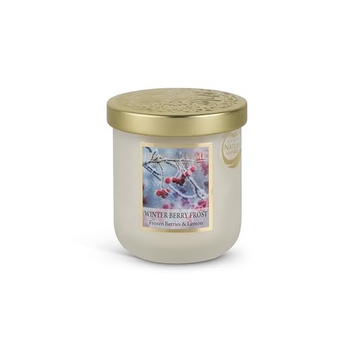 HEART & HOME - Świeca zapachowa z naturalnego wosku sojowego do domu, mały słoik na zimowe jagody, czas palenia 30 godzin, prezent, dekoracja i perfumy do domu, szklany słoik