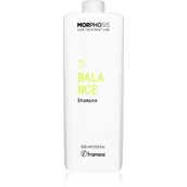 Szampony do włosów - Framesi Morphosis Balance szampon oczyszczający do przetłuszczających się włosów i skóry głowy 1000 ml - miniaturka - grafika 1