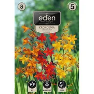 Nasiona i cebule - Krokosmia Montbrecja mix 8 sztuk Eden - miniaturka - grafika 1