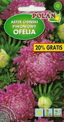 Nasiona i cebule - Aster piwoniowy Ofelia różowy 1 g POLAN - miniaturka - grafika 1