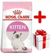 Sucha karma dla kotów - Royal Canin Kitten 36 20 kg - miniaturka - grafika 1