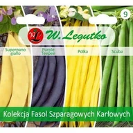 Nasiona i cebule - Kolekcja Fasol Szparagowych Karłowych 40G /Kolekcja Nasion/ - miniaturka - grafika 1