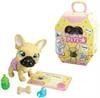 PAMPER PETZ Buldog francuski 595-0098