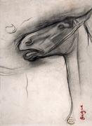 Plakaty - Galeria Plakatu, Plakat, Head Of A Horse, Edgar Degas, 61x91,5 cm - miniaturka - grafika 1