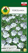 Nasiona i cebule - Porcelanka 0.5 g PNOS - miniaturka - grafika 1