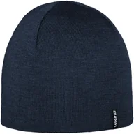 Odzież trekkingowa damska - Czapka zimowa z wełną merino VIKING Noma 2.0 GWS Pro Style - miniaturka - grafika 1