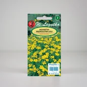 Nasiona i cebule - Aksamitka wąskolistna Lulu Żółta 0,3g - Nasiona - W. Legutko - miniaturka - grafika 1