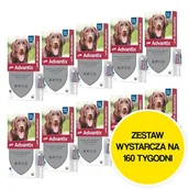 Artykuły przeciw pasożytom - Krople na pchły i kleszcze BAYER Advantix Spot-on Duże psy (25-40 kg) 40 x 4 ml - miniaturka - grafika 1