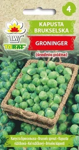 Toraf Kapusta brukselska Groninger nasiona warzyw 2g 00122 - Nasiona i cebule - miniaturka - grafika 1