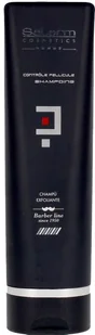 Przeciwłupieżowy szampon do włosów Salerm Cosmetics Homme Controle Exfoliant Anti-Dandruff Shampoo 250 ml (8420282010979) - Szampony do włosów - miniaturka - grafika 1