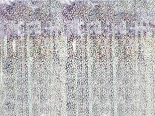 PartyDeco Kurtyna Party holograficzna 90 x 250cm CRT-016H - Gadżety na imprezę - miniaturka - grafika 2