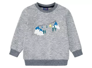 Bluzy dla chłopców - Lupilu Sweter chłopięcy z nadrukiem, 1 sztuka (98/104, Szary) - grafika 1