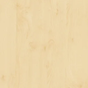 Okleina imitująca Drewno Brzoza 200-8275 67x100cm - Okleiny - miniaturka - grafika 1