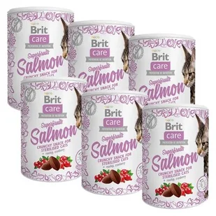 Przysmak dla kota BRIT CARE Snack Superfruits Salmon 6 x 100 g - Przysmaki dla kotów - miniaturka - grafika 1