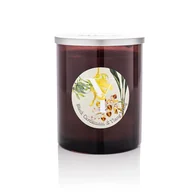 Świece - Świeca zapachowa Black Cardamom & Ylang Ylang - Czarny kardamon i Ylang Ylang 900 gr - miniaturka - grafika 1