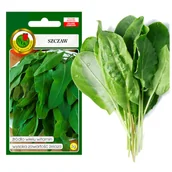 Nasiona i cebule - SZCZAW 3g DUŻO WITAMIN DO ZUPY NASIONA BEZ GMO - miniaturka - grafika 1