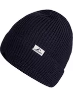 Czapki męskie - Westfjord Czapka "Borganes" w kolorze granatowym - miniaturka - grafika 1