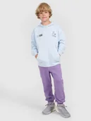 Spodnie i spodenki dla chłopców - 4F Spodnie dresowe joggery chłopięce - fioletowe 122 (6-7 lat) - miniaturka - grafika 1