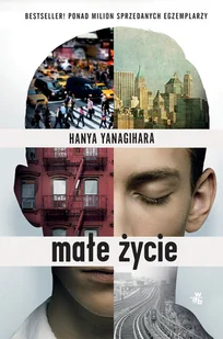 Małe życie - Literatura obyczajowa - miniaturka - grafika 1