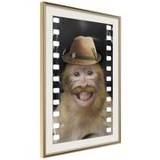 Plakaty - Plakat - Przebrana małpka (rozmiar 40x60, wykończenie Rama złota z passe-partout) - miniaturka - grafika 1