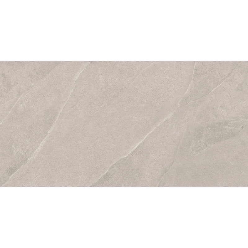 Mexen Aryan Silver gres szkliwiony rekt. G1, płytka podłogowo-ścienna 120 x 60 cm, mat - TL310-120-060-05