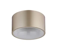 Lampy sufitowe - Globo 56964G - Oprawa sufitowa LED RAYMOND LED/12W/230V Ø 15 cm 3000K beżowa - miniaturka - grafika 1