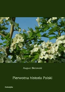 Pierwotna historia Polski - Historia Polski - miniaturka - grafika 1