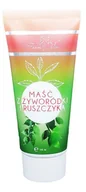 Żele i maści lecznicze - FARM-VIX Farm-vix Maść z Żyworódki i Ruszczyka 100 ml tuba - miniaturka - grafika 1