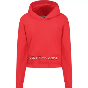 CALVIN KLEIN JEANS Bluza | Regular Fit - Bluzy dla dziewczynek - miniaturka - grafika 1