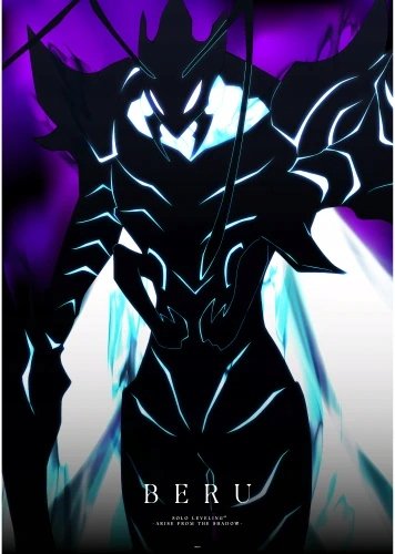 Plakat Solo Leveling A2 (420mm x custom) Anime Na honjaman level up