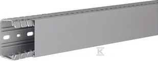 Hager polo Korytko grzebieniowe BA7 40x60 szary kamień BA740060 2m BA740060 - Kanały kablowe - miniaturka - grafika 1