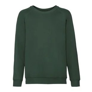 Bluza Dziecięca/dziecięca Classic Raglan - Odzież sportowa dziecięca - miniaturka - grafika 1