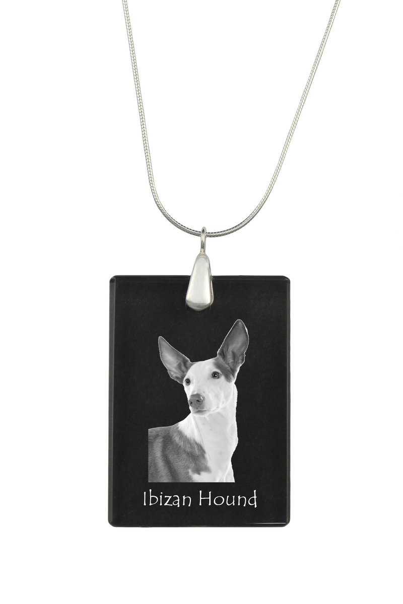 Podenco z Ibizy, Podenco Ibicenco - kryształowa zawieszka z psem, srebrny naszyjnik ze zdjęciem, personalizowany wisiorek marki Art-Dog