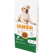 Sucha karma dla psów - IAMS Adult Large Lamb 12 kg - miniaturka - grafika 1