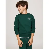Bluzy dla chłopców - Tommy Hilfiger Bluza | Regular Fit - miniaturka - grafika 1