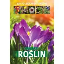 Atlas roślin - Aleksandra Halarewicz - Albumy - przyroda - miniaturka - grafika 2