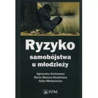 Pedagogika i dydaktyka - Ryzyko samobójstwa u młodzieży - Gmitrowicz Agnieszka, Marta Makara-Studzińska, Młodożeniec Anita - miniaturka - grafika 1