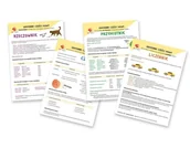 Podręczniki dla szkół podstawowych - Plansze edukacyjne Odmienne części mowy A4 - miniaturka - grafika 1