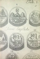 Historia świata - Terra sigillata - miniaturka - grafika 1