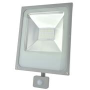 Lampy ogrodowe - INQ Naświetlacz LED z czujnikiem ruchu INQ Ralf FL204PNW, szary, 50 W - miniaturka - grafika 1